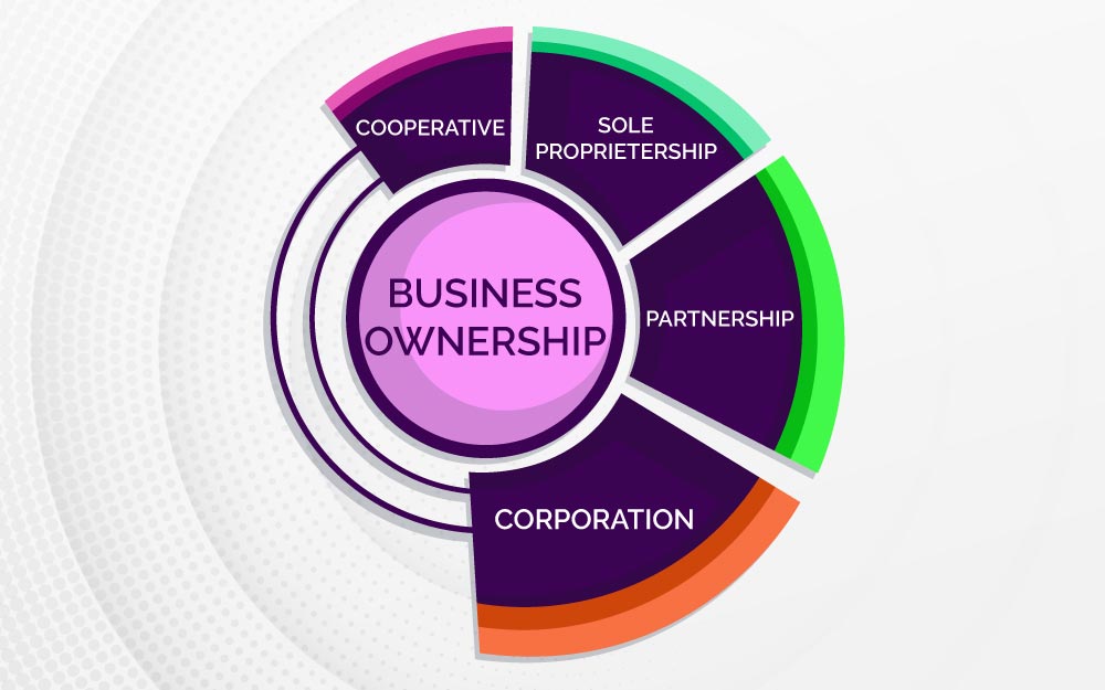 Types of businesses and ownership: