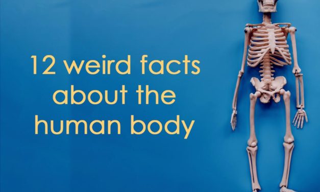 12 Weird Facts About The Human Body